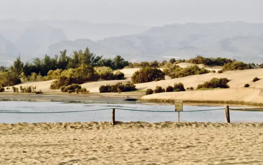 gran-canaria-maspalomas-duenen-860x540 gran canaria dunas maspalomas