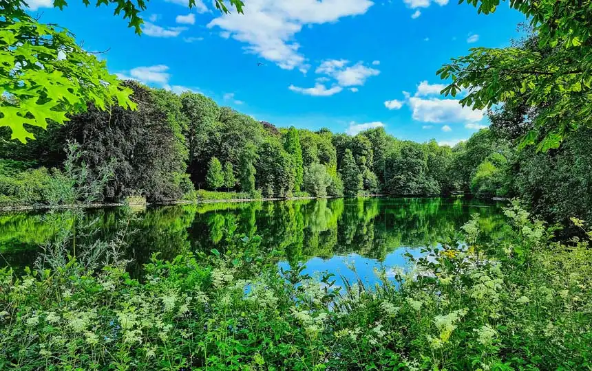 dortmund-rombergpark Rombergpark in Dortmund