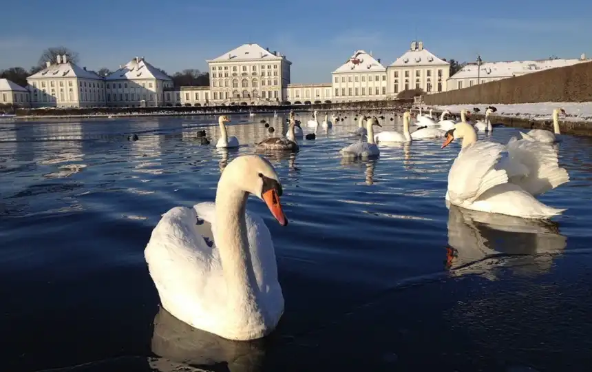 Schloss Nymphenburg in M&uuml;nchen im Winter mit Schw&auml;nen