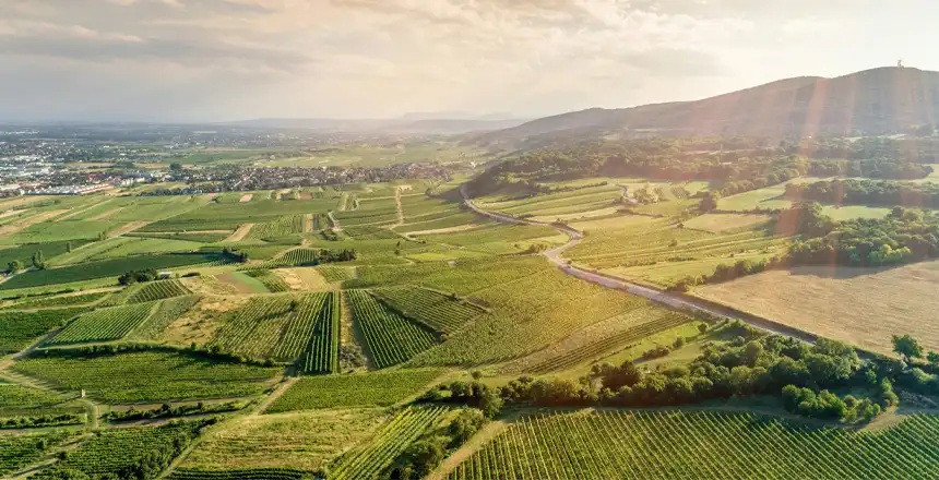 Panoramablick &uuml;ber Weinberge und Landstra&szlig;e bei Gumpoldskirchen im Umland von Wien, &Ouml;sterreich