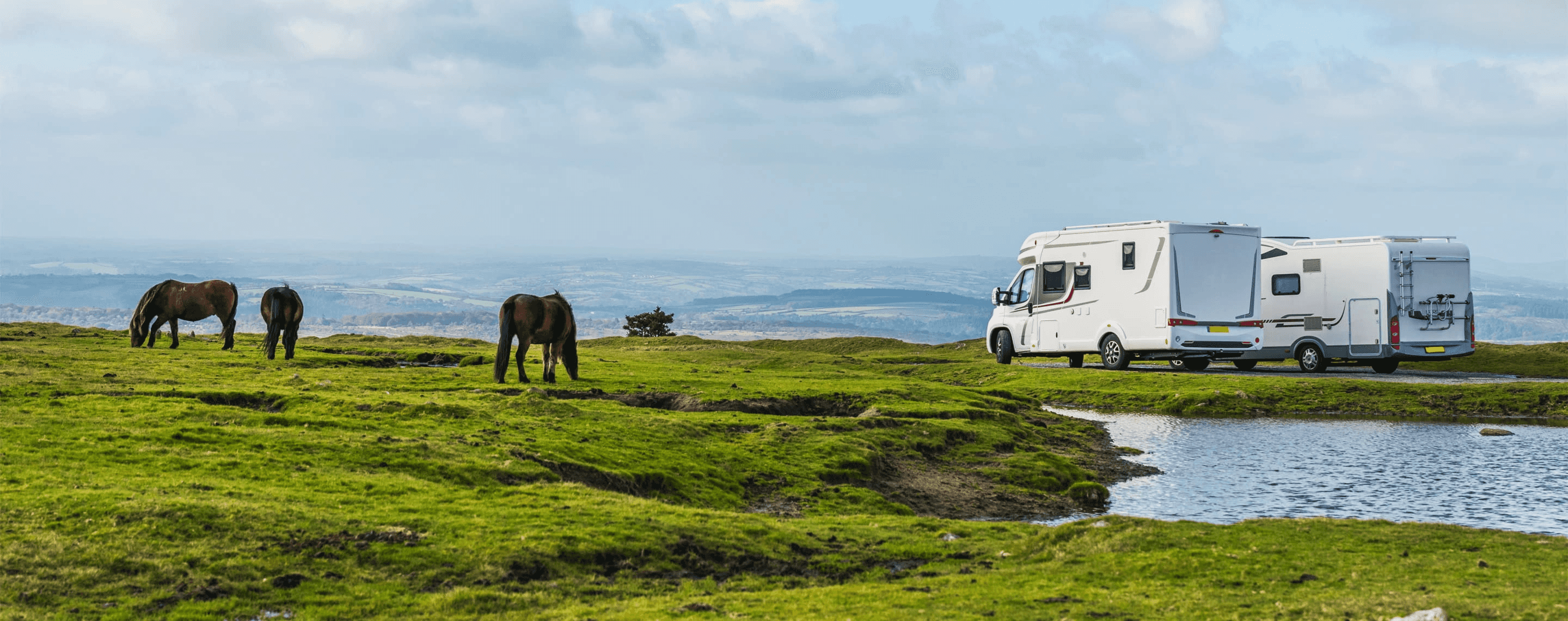 Zwei Wohnmobile neben einer grünen Wiese mit Pferden im Dartmoor Park