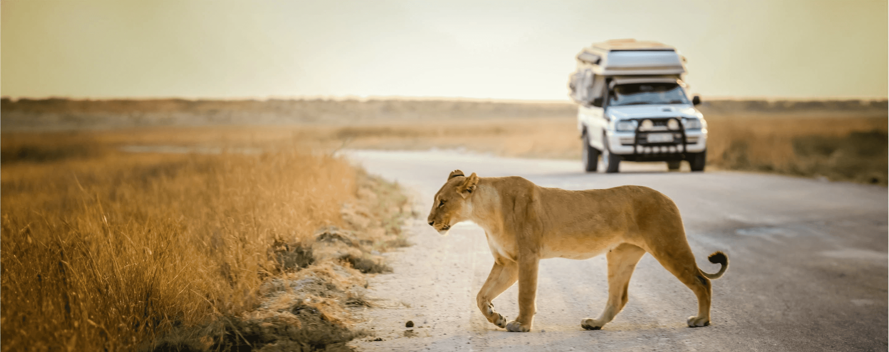 Südafrika mit Wohnmobil