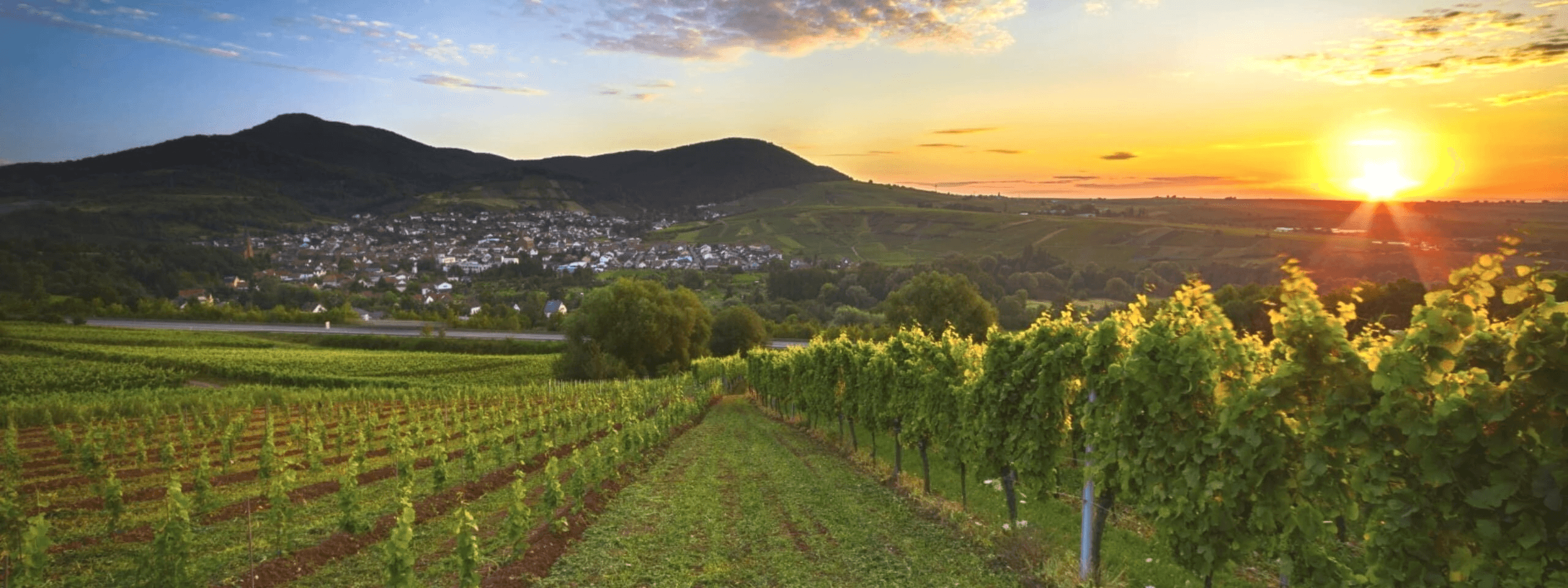 adac autovermietung landau istock 000028946594