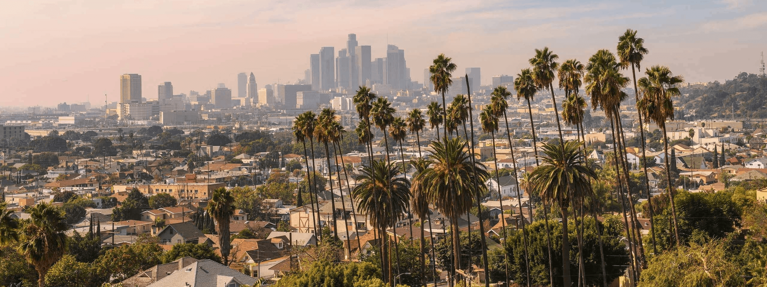 los angeles usa fotolia 245514086