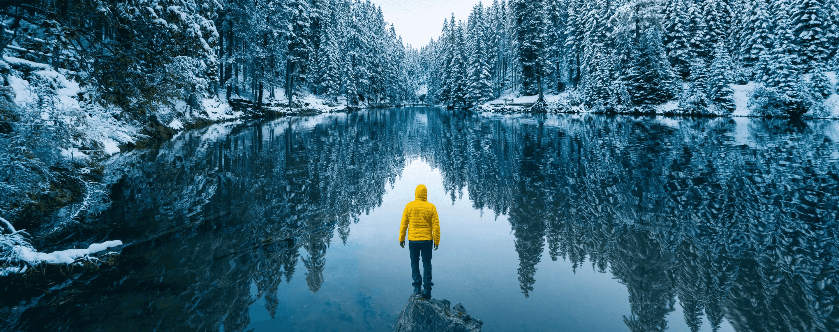 mann in gelber jacke am ufer eines sees im winter, hertz autovermietung