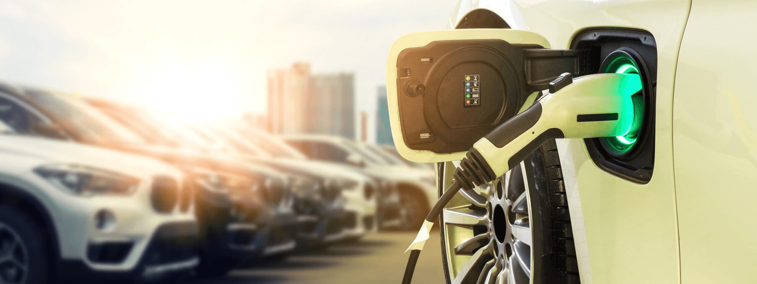 elektroautos fuhrpark flotte fotolia 180672125