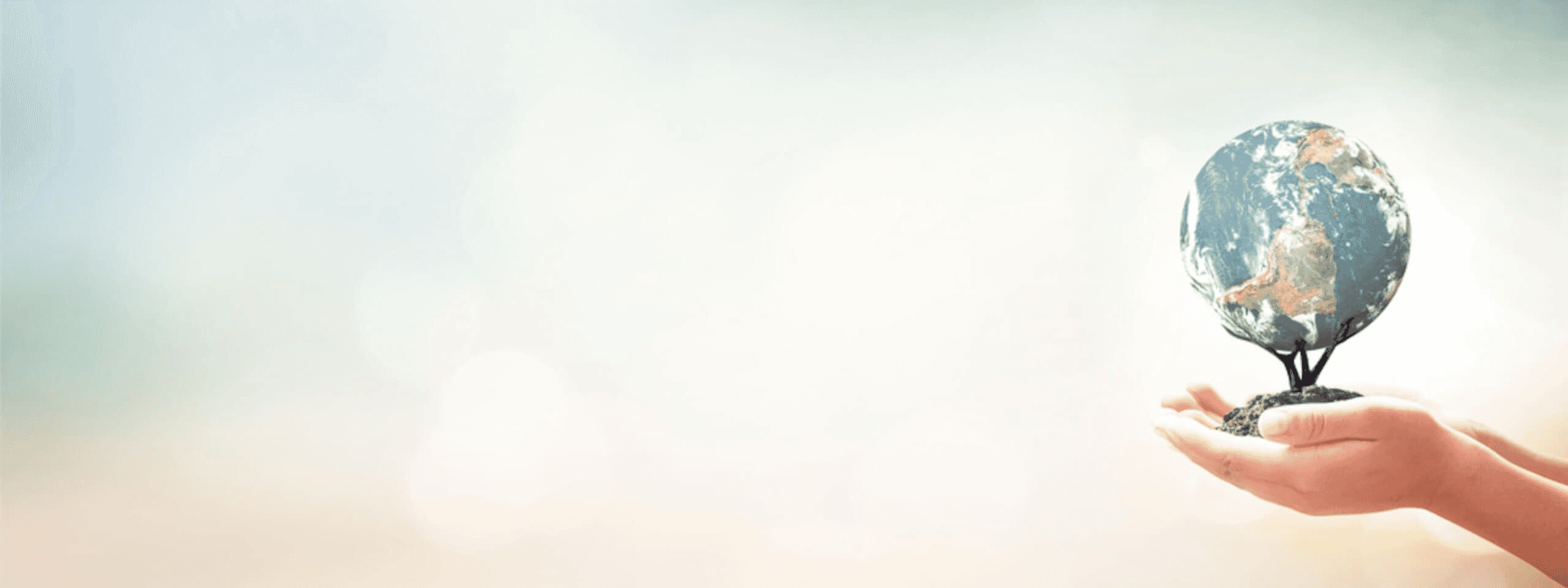 welt in händen halten fotolia 194215970