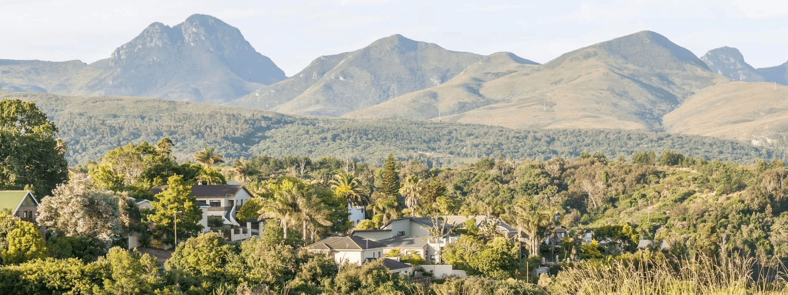 george südafrika fotolia 85126245