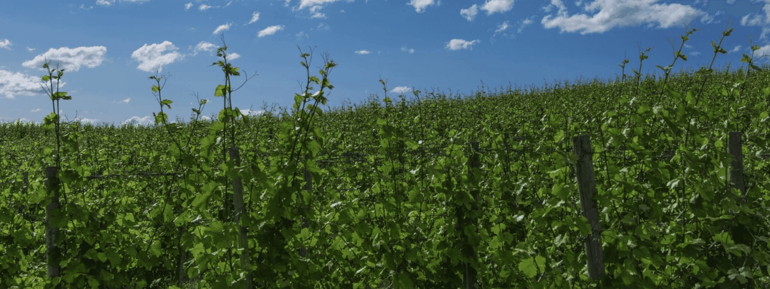 adac autovermietung heilbronn istock 000025396746