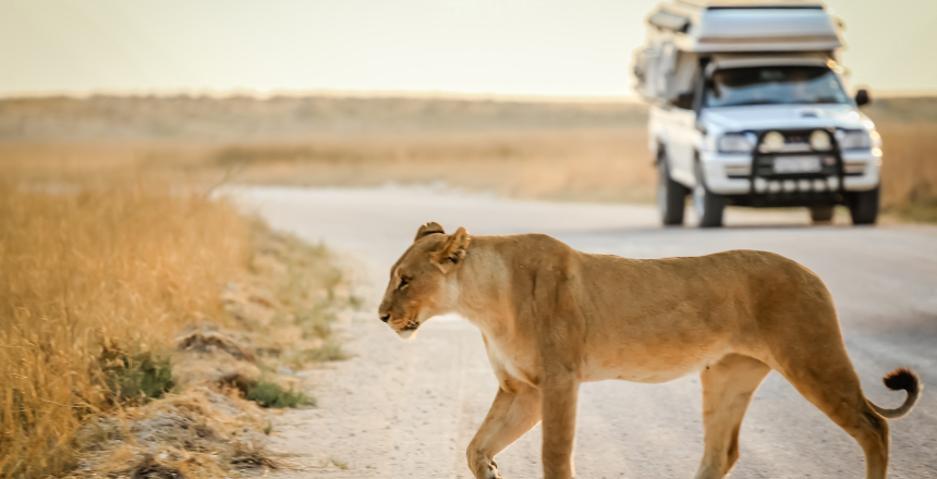 Südafrika mit Wohnmobil