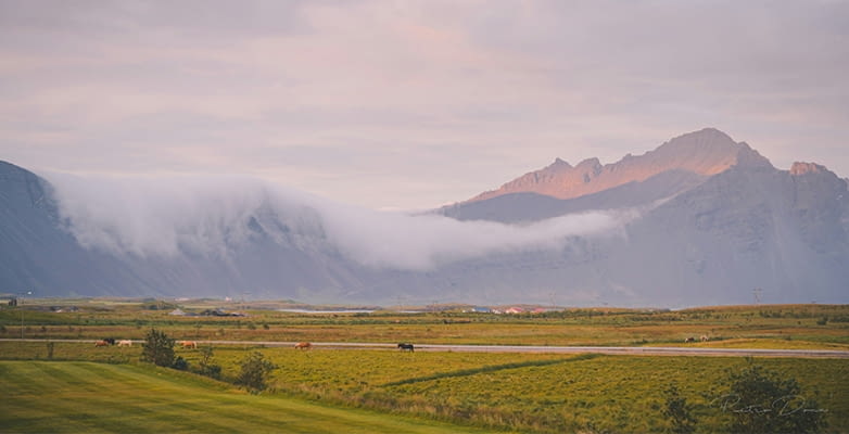höfn island
