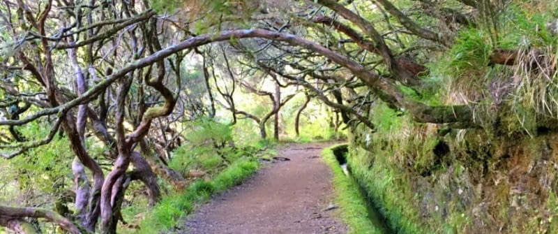 madeira portugal levadas wasserkanal