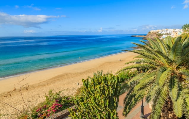 fuerteventura mietwagen ausflug, strand morro jable mit blick auf meer und palmen